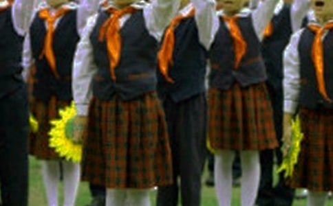 【精品】红领巾小学作文锦集7篇