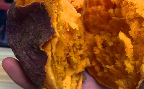 红薯购销合同范本