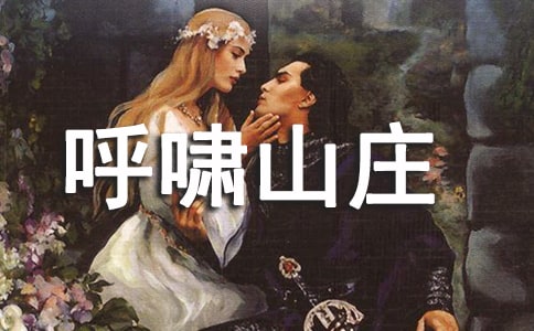 呼啸山庄读后感初中