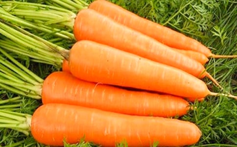 ���꼶���ܲ������ĳ����ӽ�ѧ��˼����