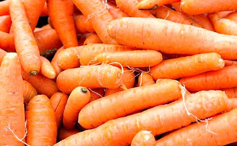 ������Ժ��ܲ����ó̰̽�