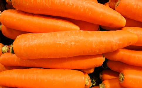 ����ۺϻ�����ܲ������ĺ��ӡ��̰�