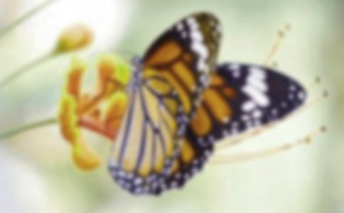 ��������ѧ��˼