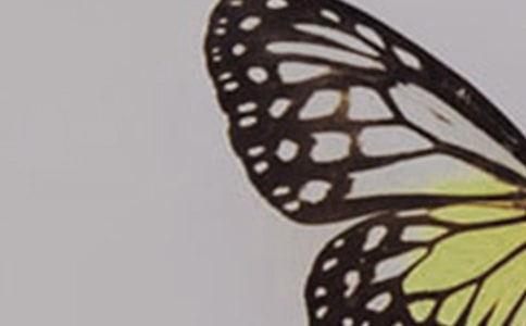 ��໭�����̰�