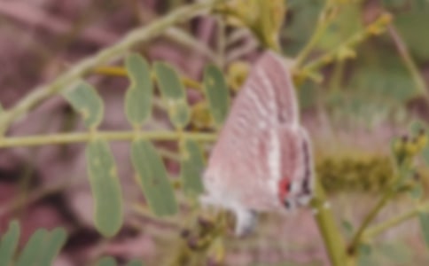 С������������ĺ����̰�