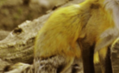 ���˲���ĺ���ְ֡�����з���