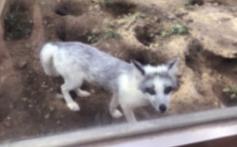 ���������ѻ����ѧ��˼15ƪ