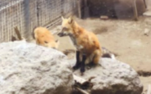 �������ѻ �̰���ѧ���