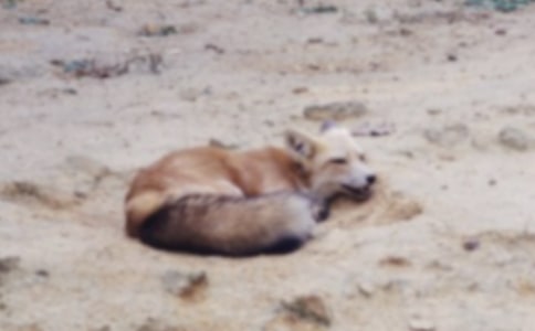 ���������ѻ����ѧ��˼����