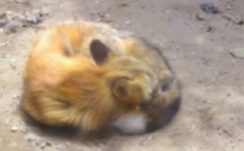 ���������ѻ����ѧ��˼