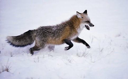 �������ѻ��ѧ��˼