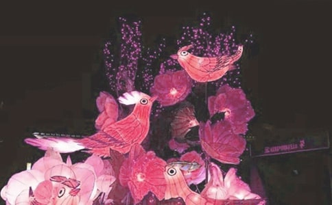 关于看花灯日记范文汇编8篇