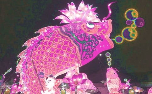 ���ڿ������ռǷ��Ļ��4ƪ