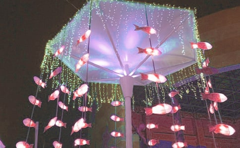 ����ѡ���������ռ�4ƪ