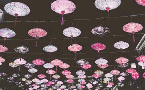 ����ѡ���������ռ���ƪ