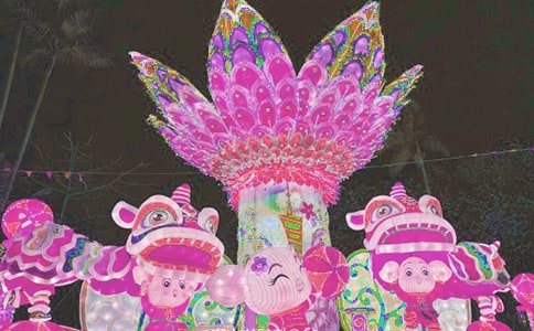 【必备】看花灯日记4篇