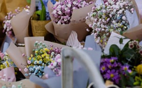 ��������15ƪ