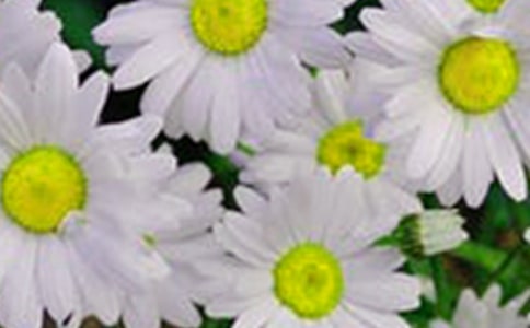 ��������̰��������Ļ��䡷