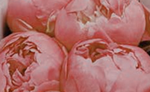 �������еĻ��䡶���������̰�