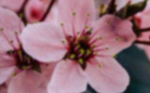 关爱催放迟开的花朵(人教版七年级)