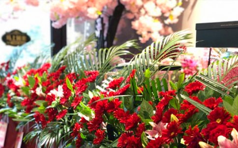 �໨���а�̰�