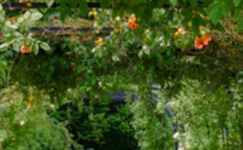 �����˵Ļ�԰����ѧ��˼���15ƪ