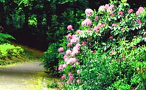 �����˵Ļ�԰����ѧ��˼