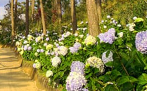 ���л�԰˵����