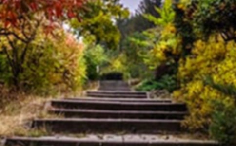 ���ܵĻ�԰�����