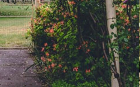 �����˵Ļ�԰����ѧ��˼��Ʒ��15ƪ��