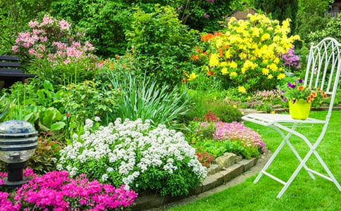 ���˵Ļ�԰��ѧ��˼[��]