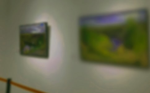 �ιۿ����黭չ�ĵ����