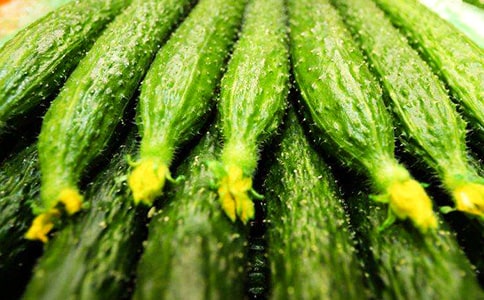 С���ѧ��������С�ƹϽ̰�