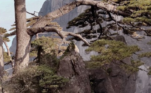 ����ɽ��ʯ����ѧ��˼15ƪ