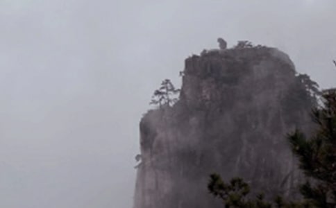 《黄山奇松》教学反思15篇