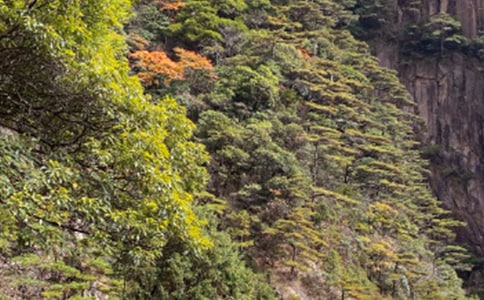 ��ɽд������15ƪ