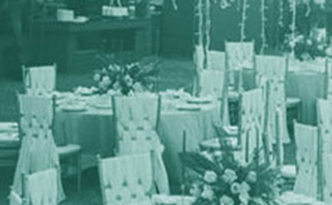 ֱ�׵����ɻ����л��