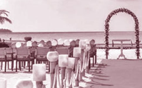 �����Ը�