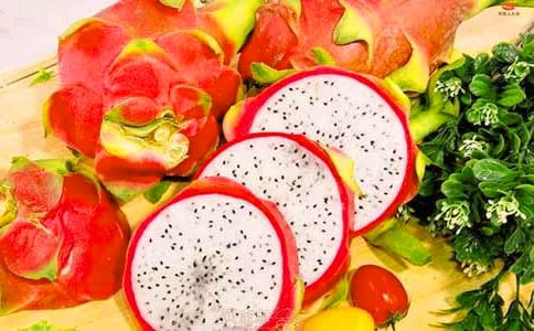 ������Сѧ����8ƪ