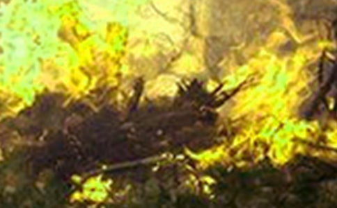 预防森林火灾倡议书