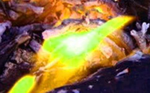 企业火灾防控工作方案