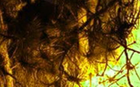 �������������ĵ����