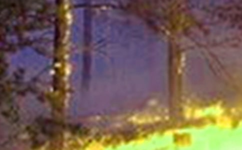 ���ֵ��ĵ����