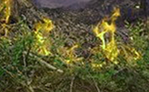 119火灾演练心得体会