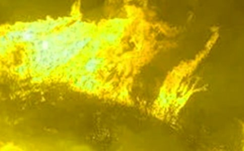 ���������ĵ����