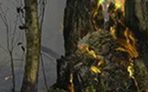 �������������ַ��ع�������