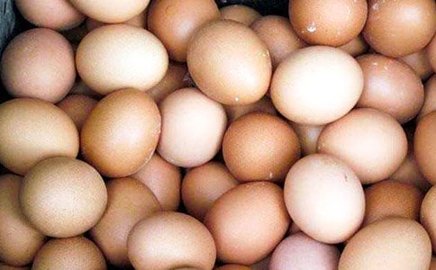 С�����Խ̰�������������