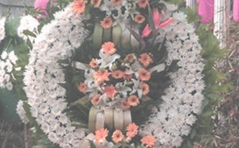 ����һ���飬����԰�δ�֮��(��������)