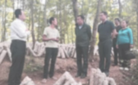 纪检部自我介绍