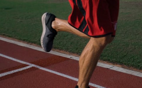 �������͸�